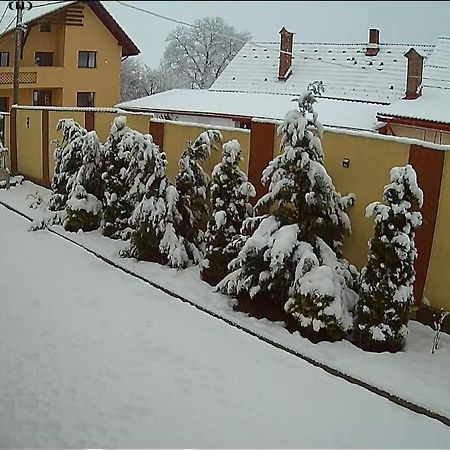 Izabella Guest House Săcele エクステリア 写真