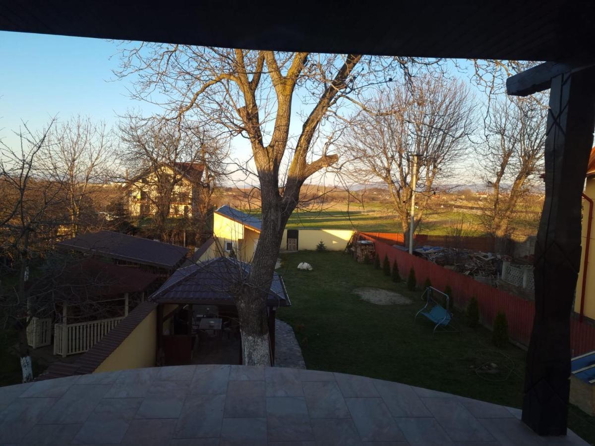 Izabella Guest House Săcele エクステリア 写真