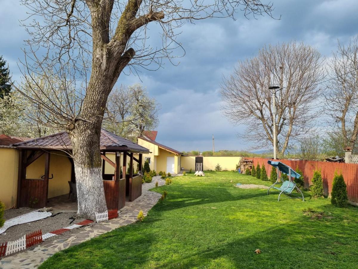 Izabella Guest House Săcele エクステリア 写真