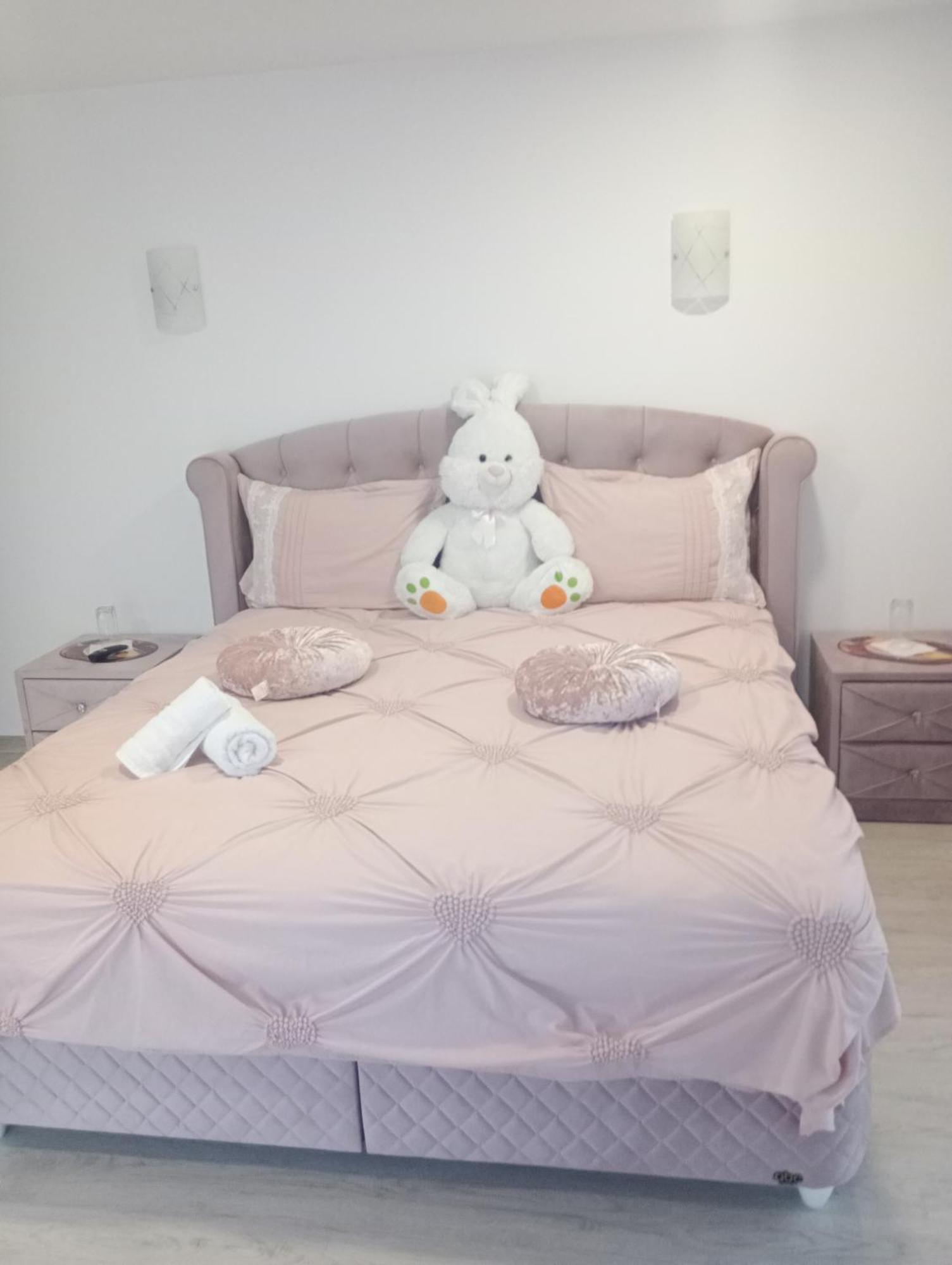 Izabella Guest House Săcele エクステリア 写真