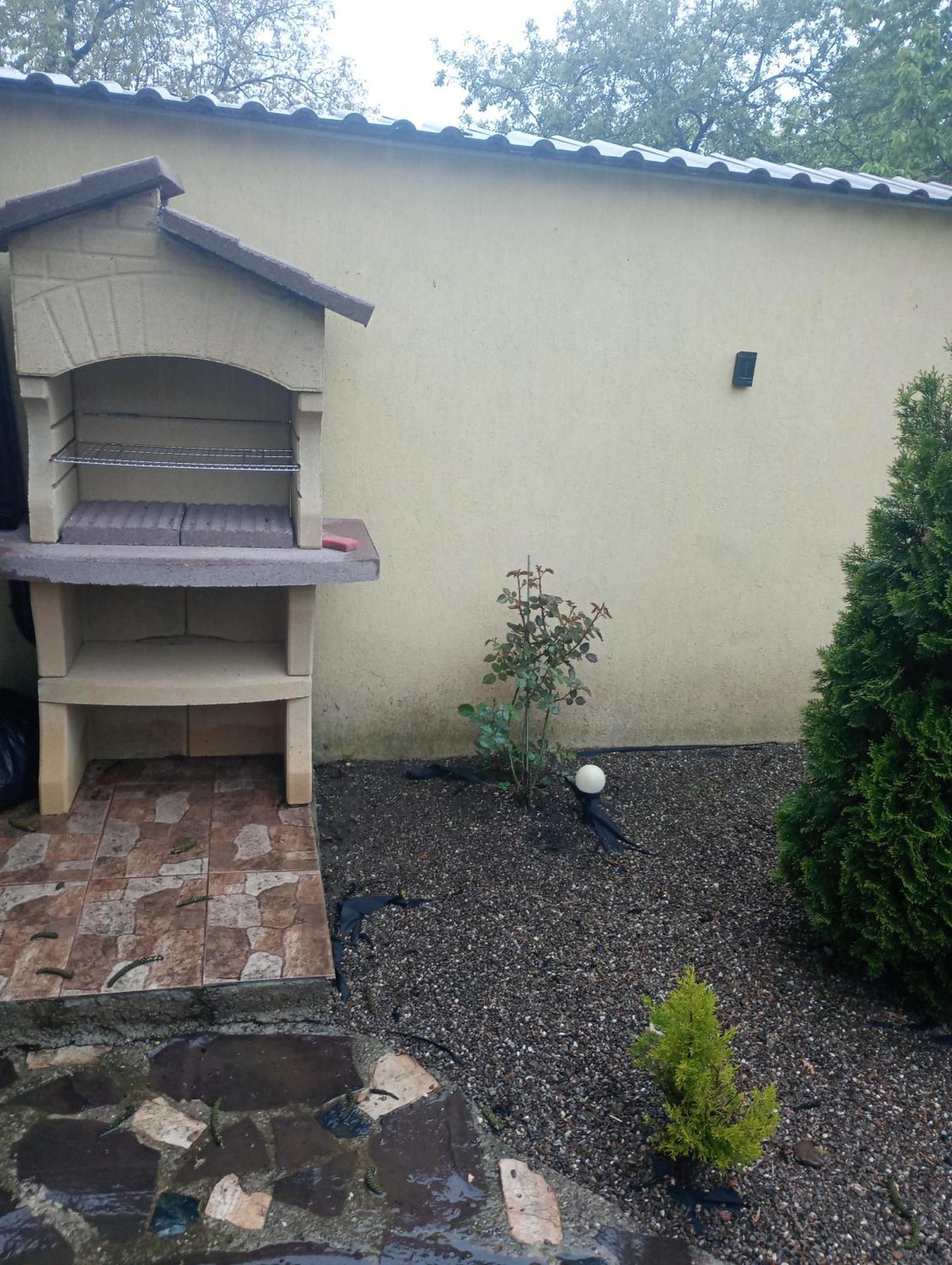 Izabella Guest House Săcele エクステリア 写真