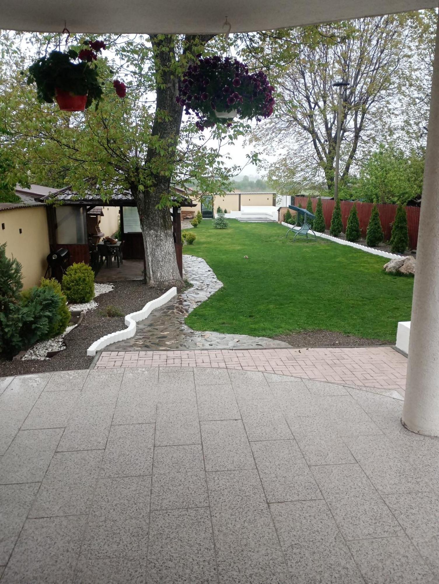 Izabella Guest House Săcele エクステリア 写真