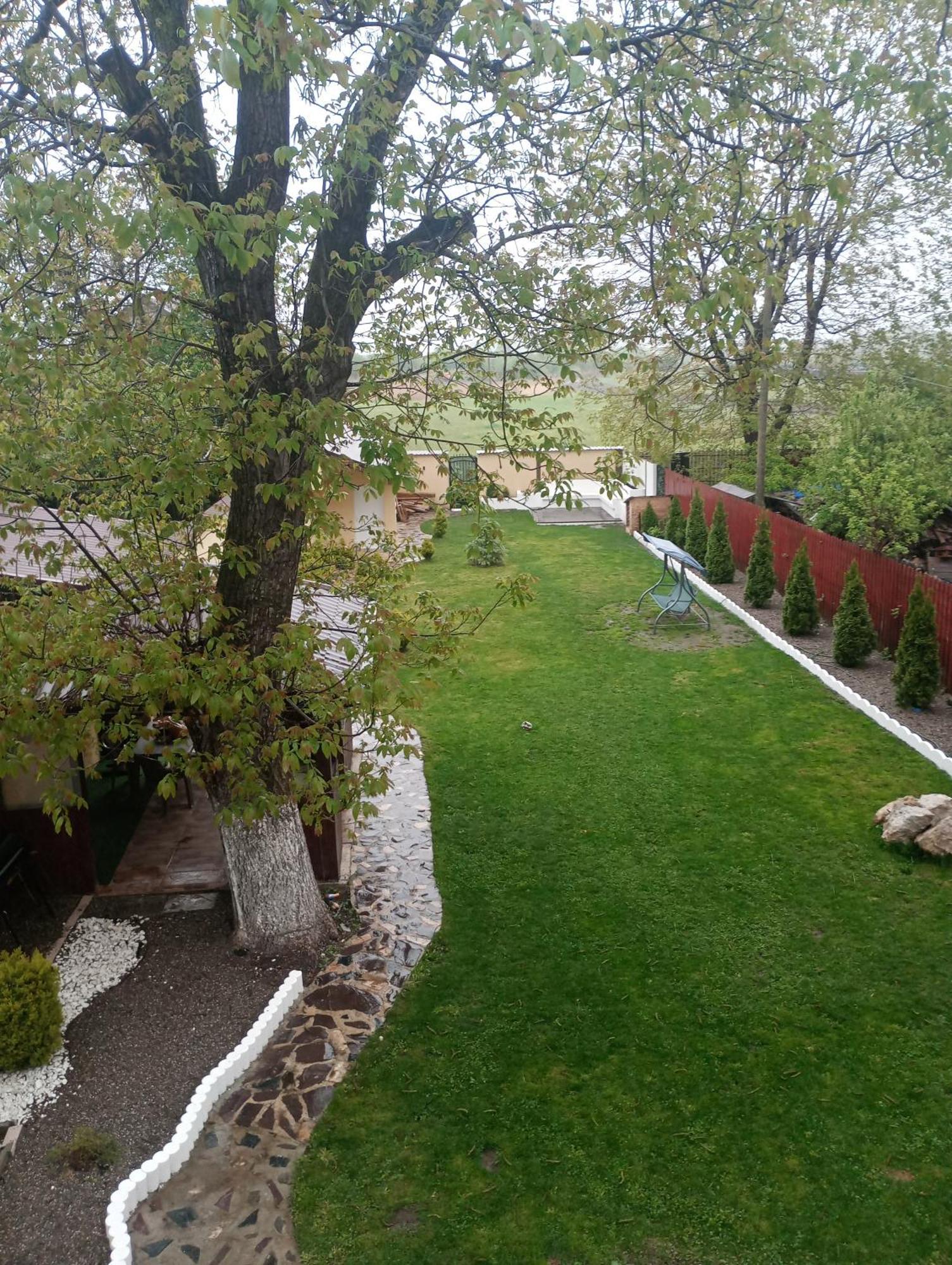 Izabella Guest House Săcele エクステリア 写真