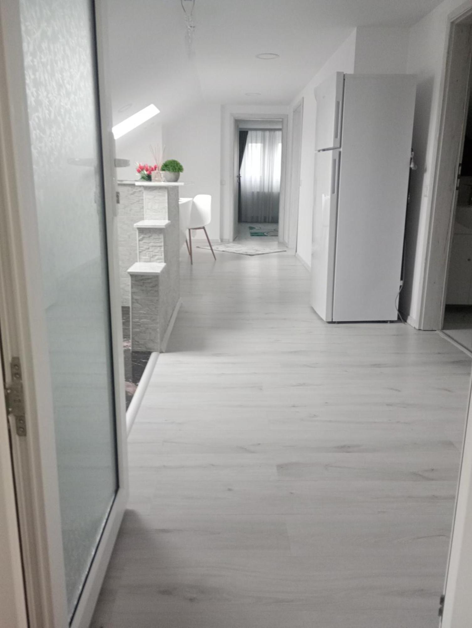 Izabella Guest House Săcele エクステリア 写真