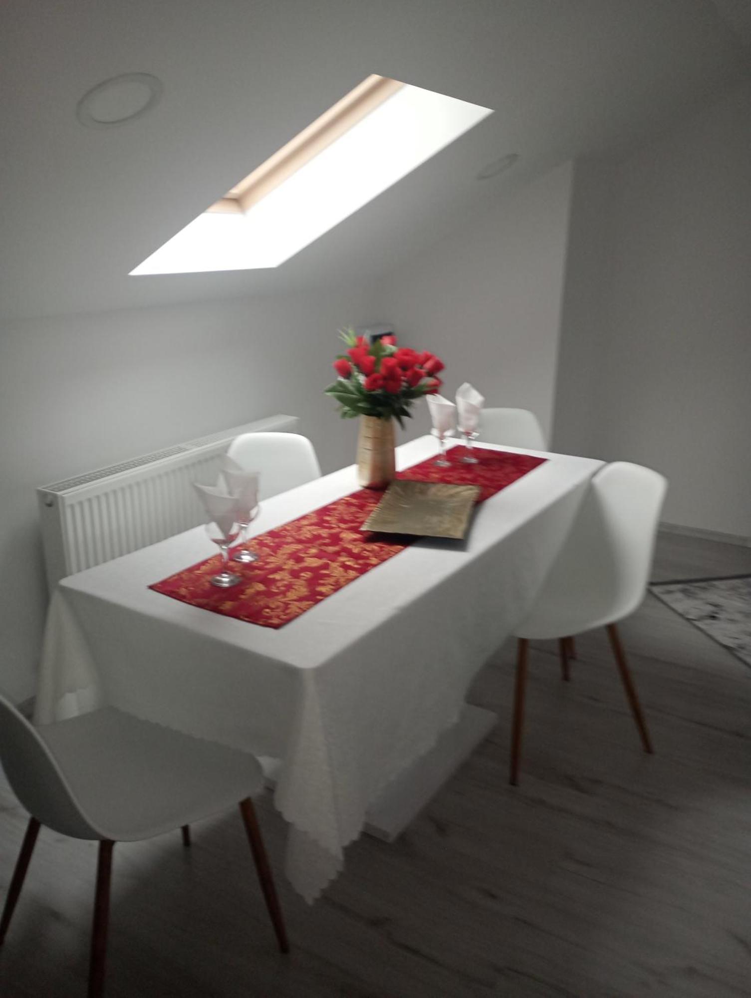 Izabella Guest House Săcele エクステリア 写真