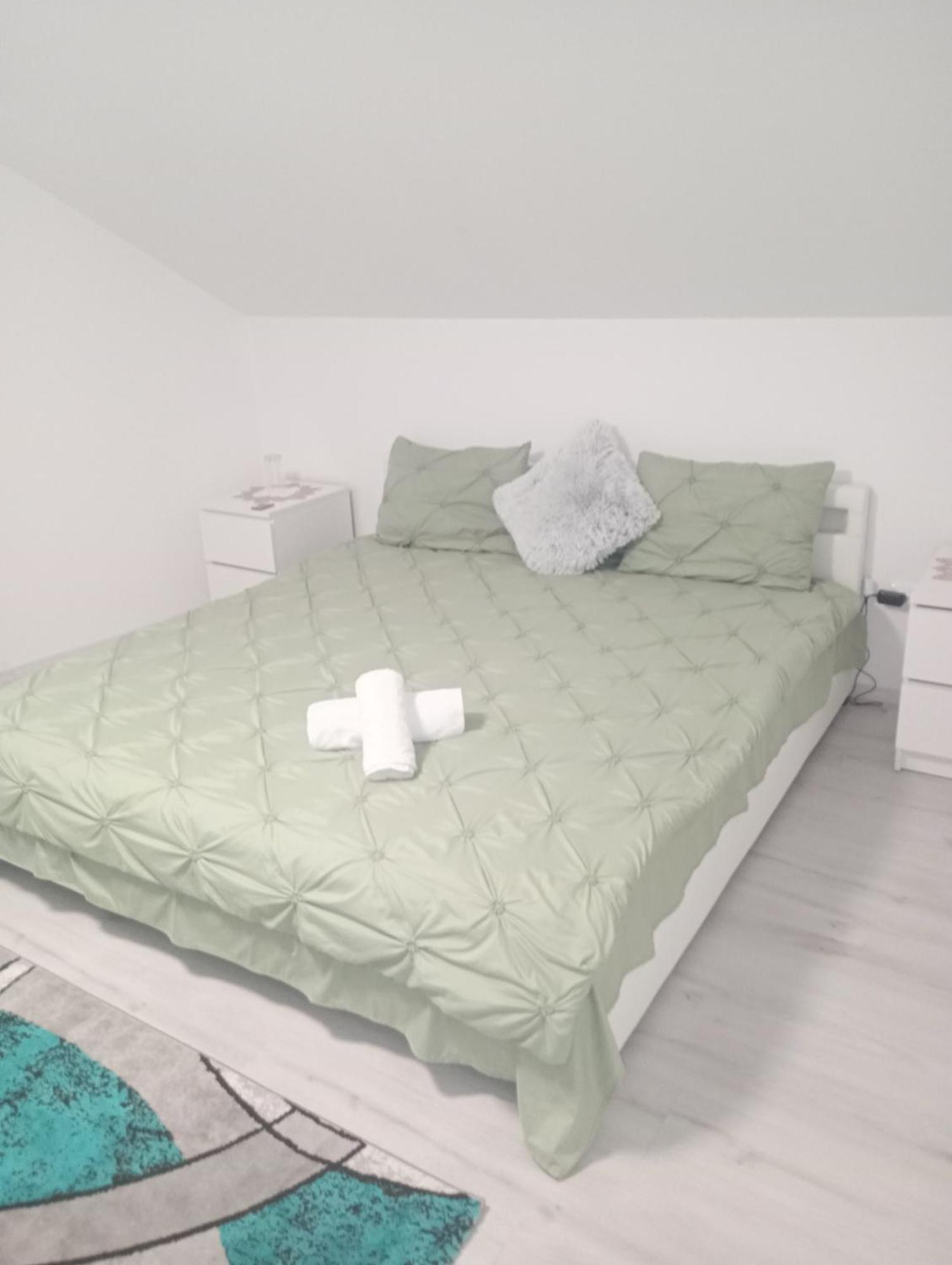 Izabella Guest House Săcele エクステリア 写真