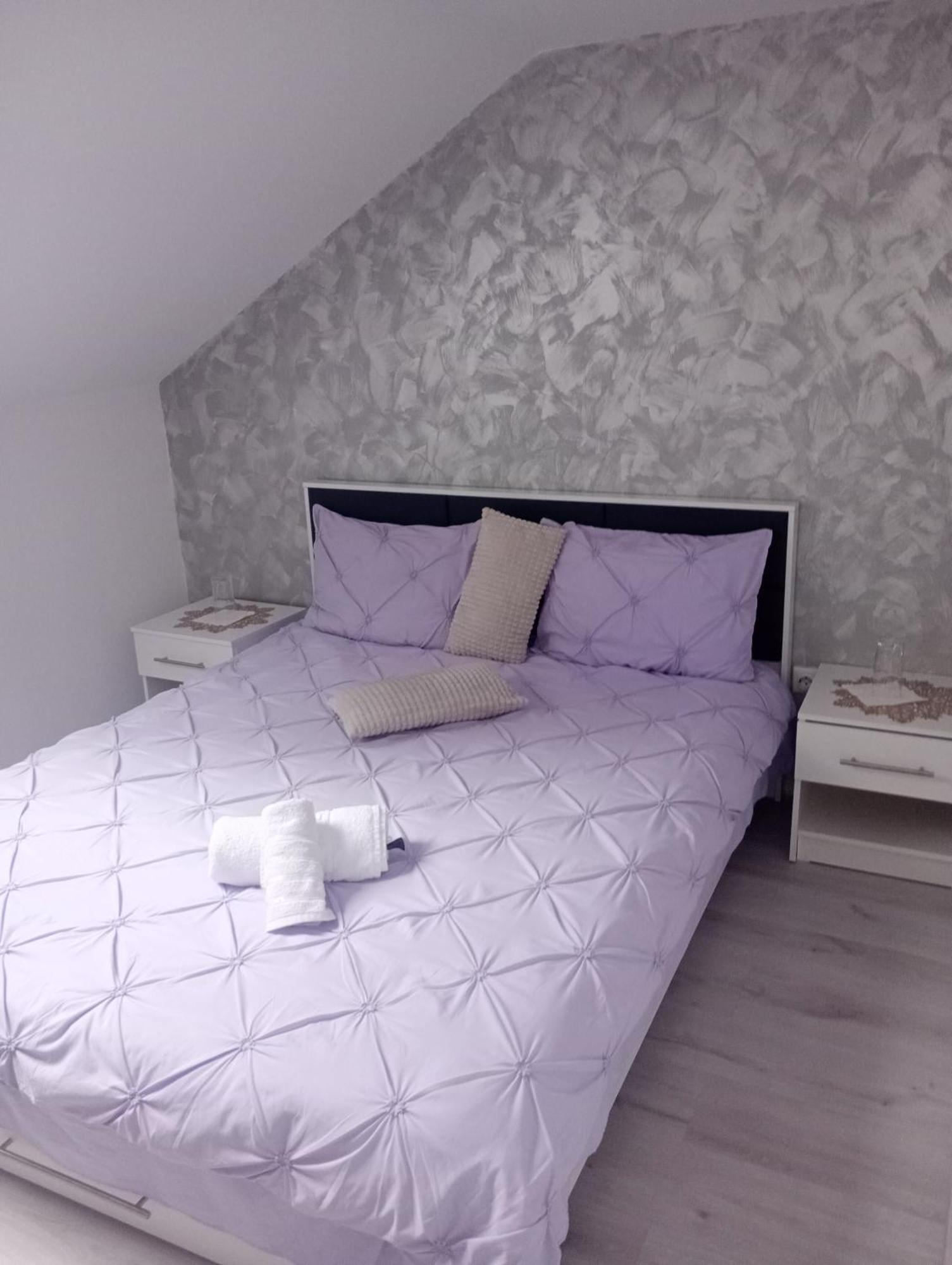 Izabella Guest House Săcele エクステリア 写真