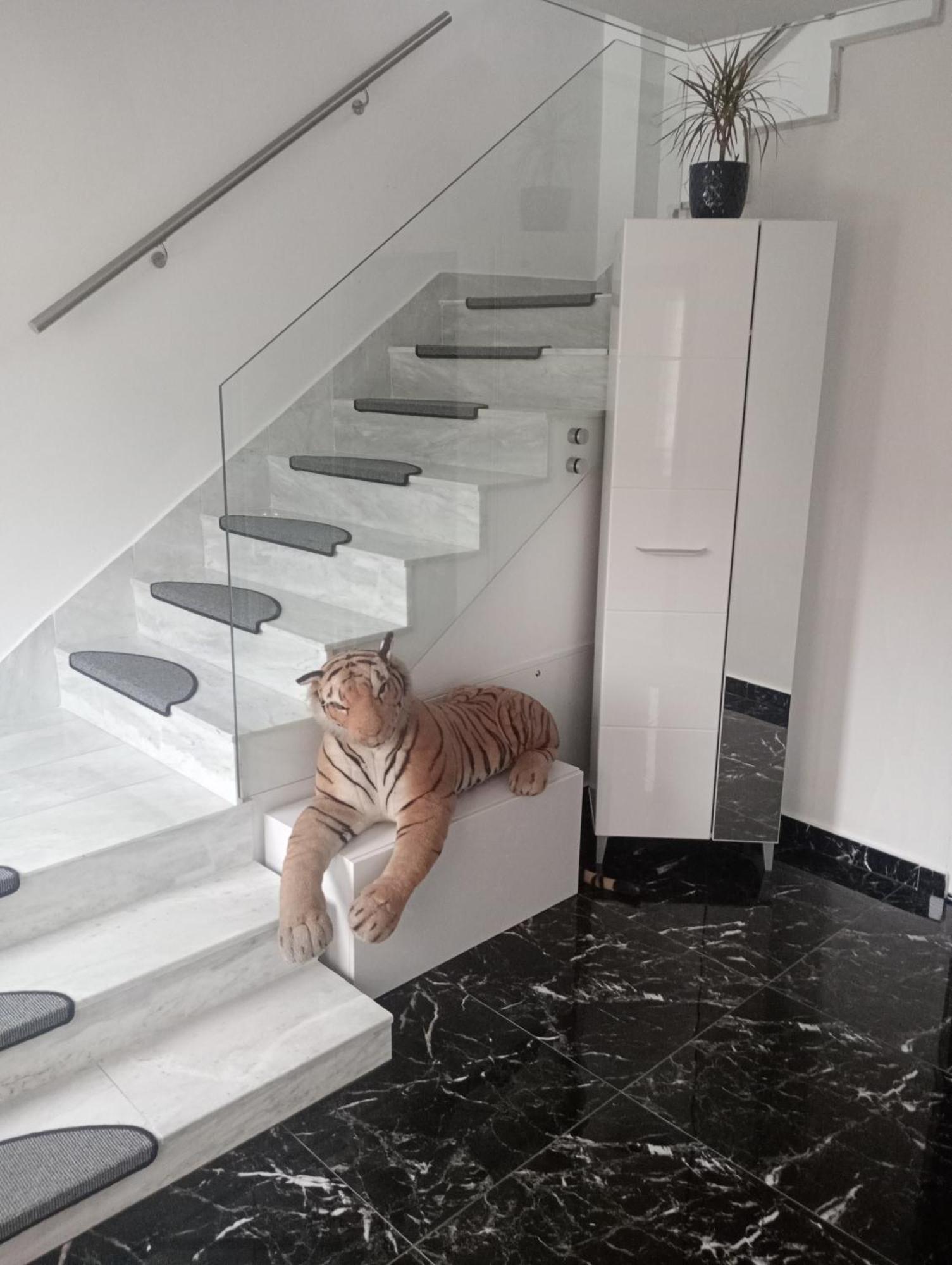 Izabella Guest House Săcele エクステリア 写真