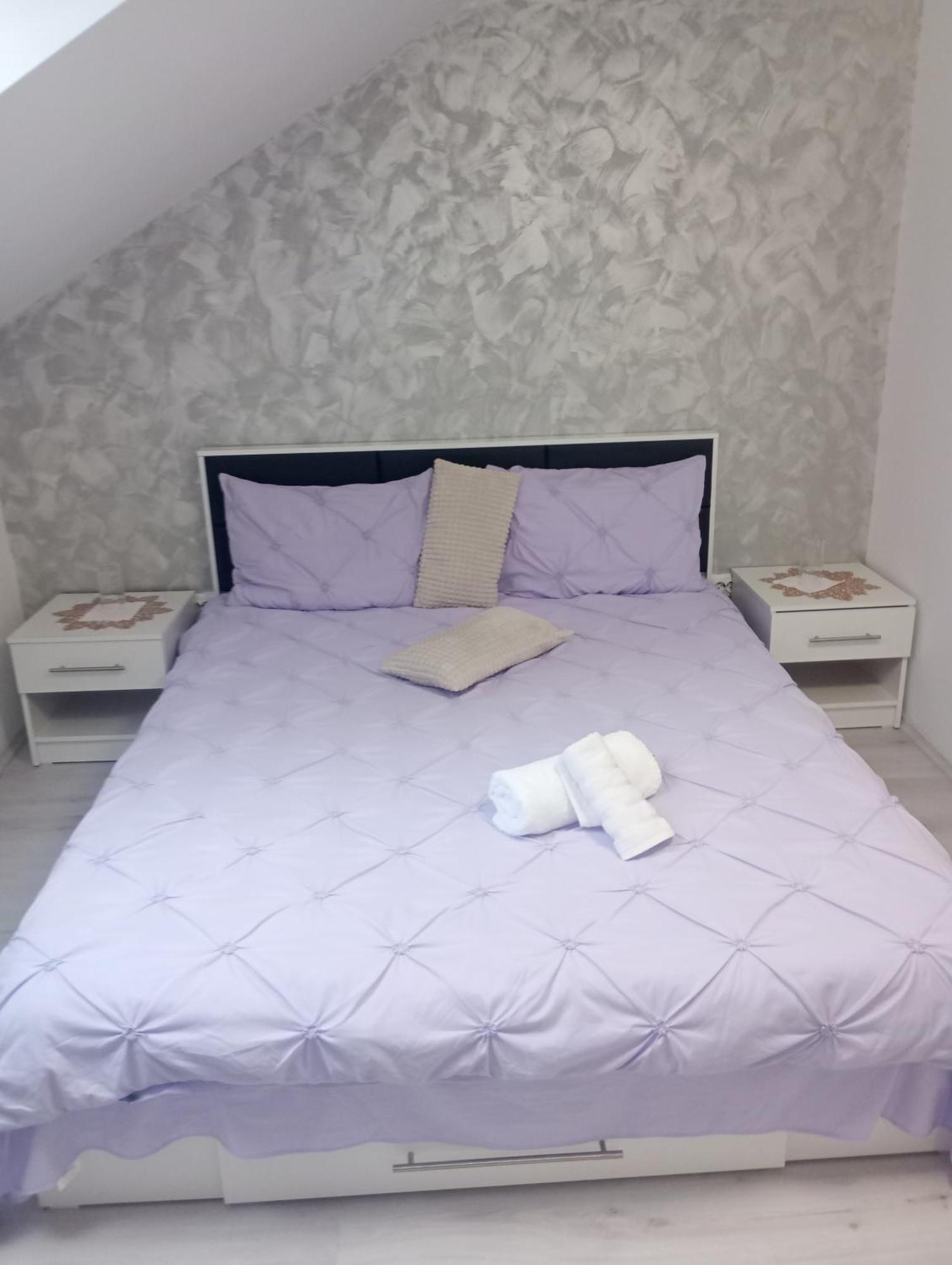 Izabella Guest House Săcele エクステリア 写真