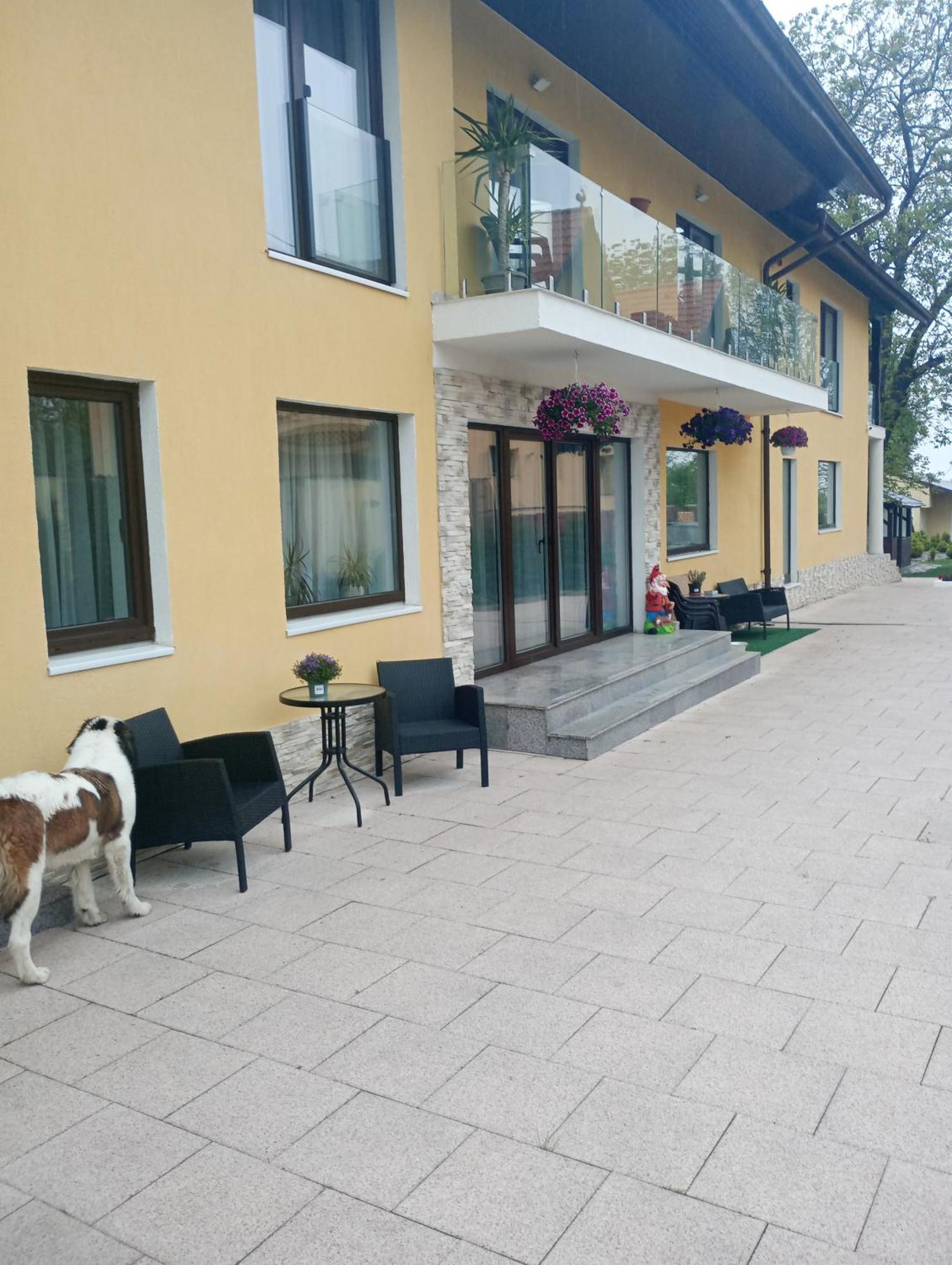 Izabella Guest House Săcele エクステリア 写真