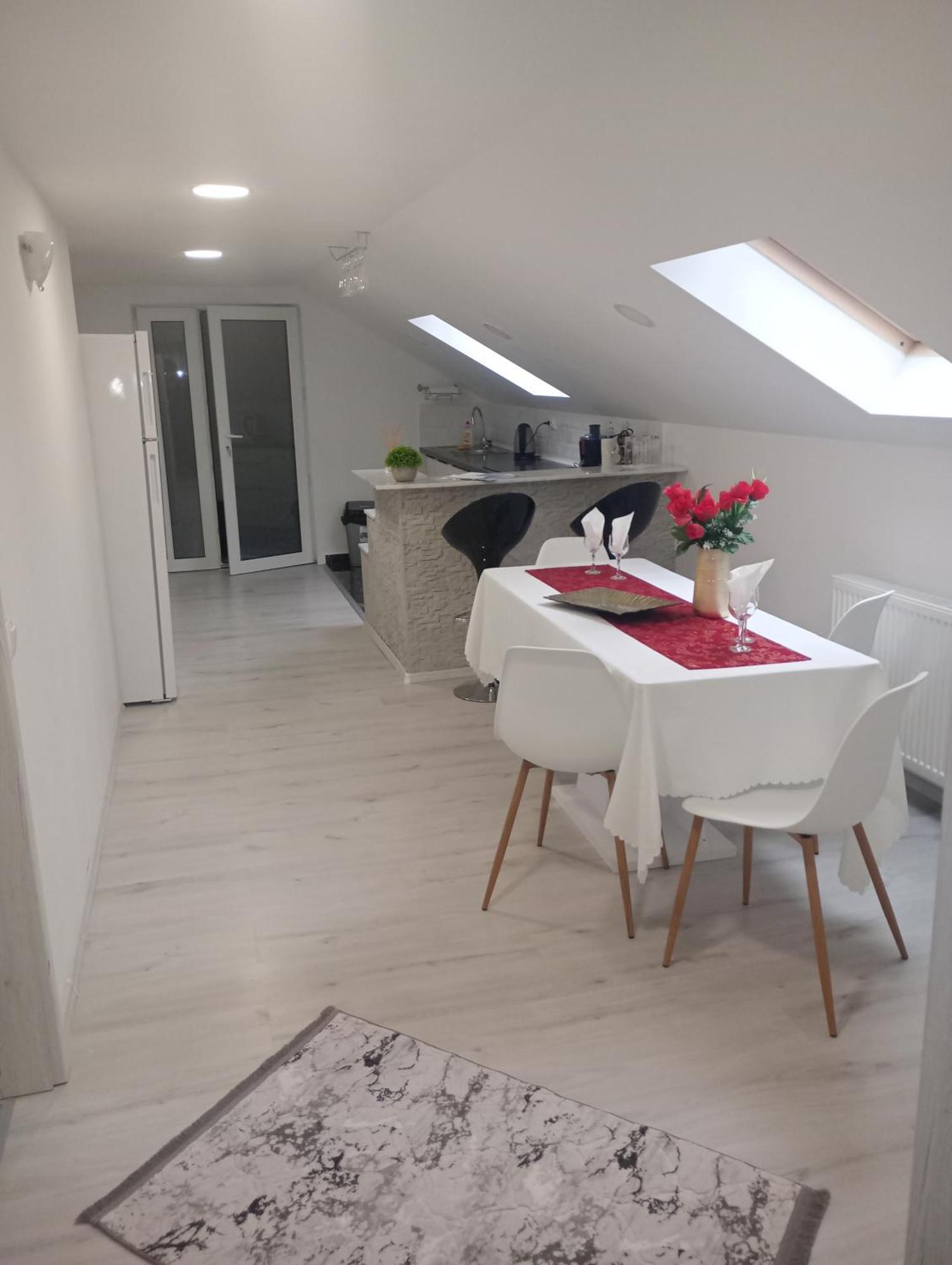 Izabella Guest House Săcele エクステリア 写真