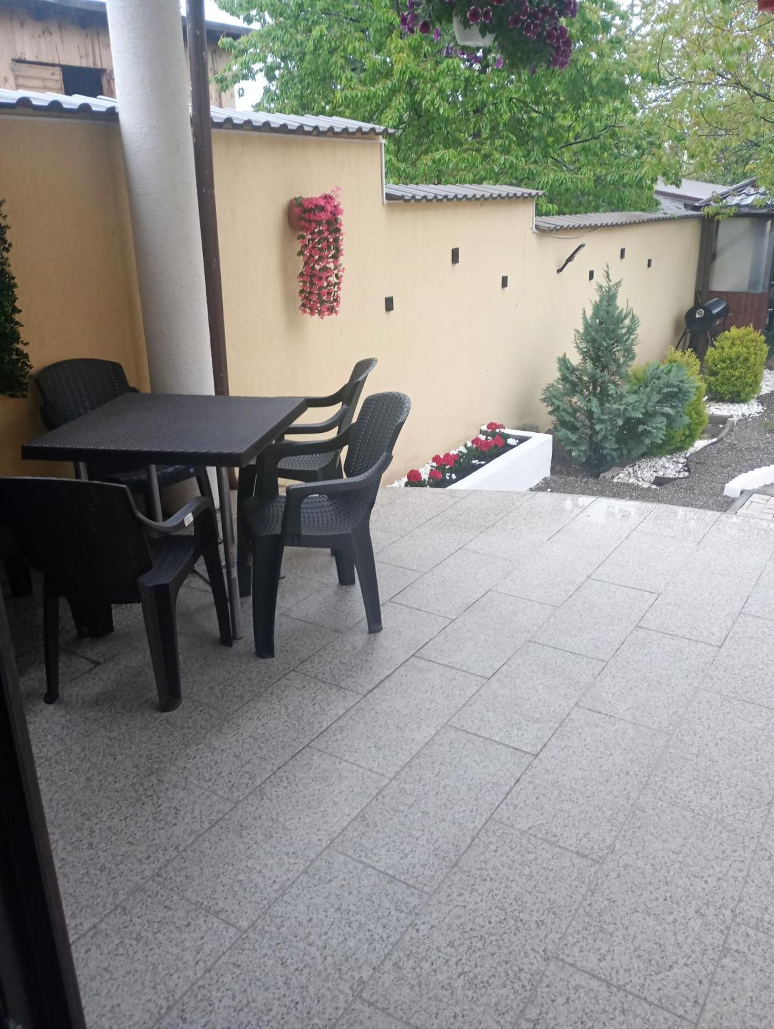 Izabella Guest House Săcele エクステリア 写真