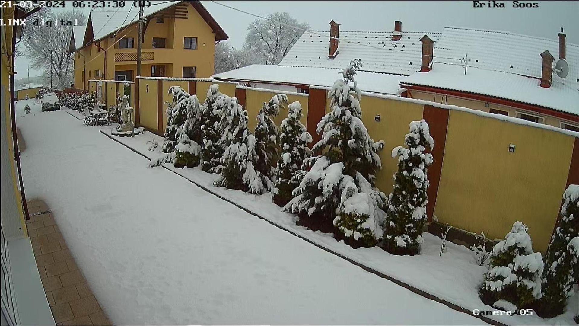 Izabella Guest House Săcele エクステリア 写真